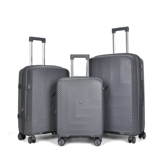 Canary - Suitcase Set in Dark Grey
