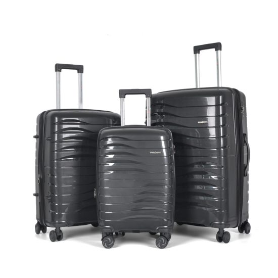 Swallow - Suitcase Set in Black