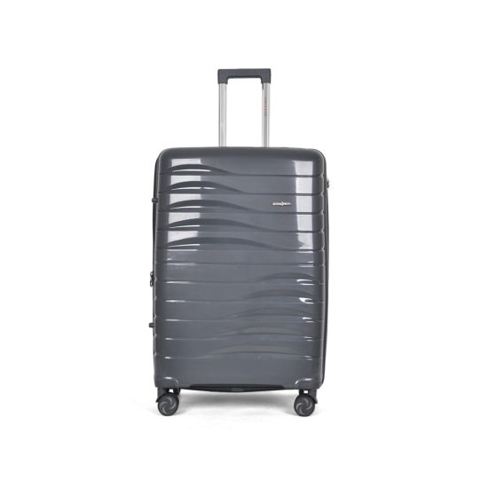 Swallow - Cabin Suitcase in Dark Grey